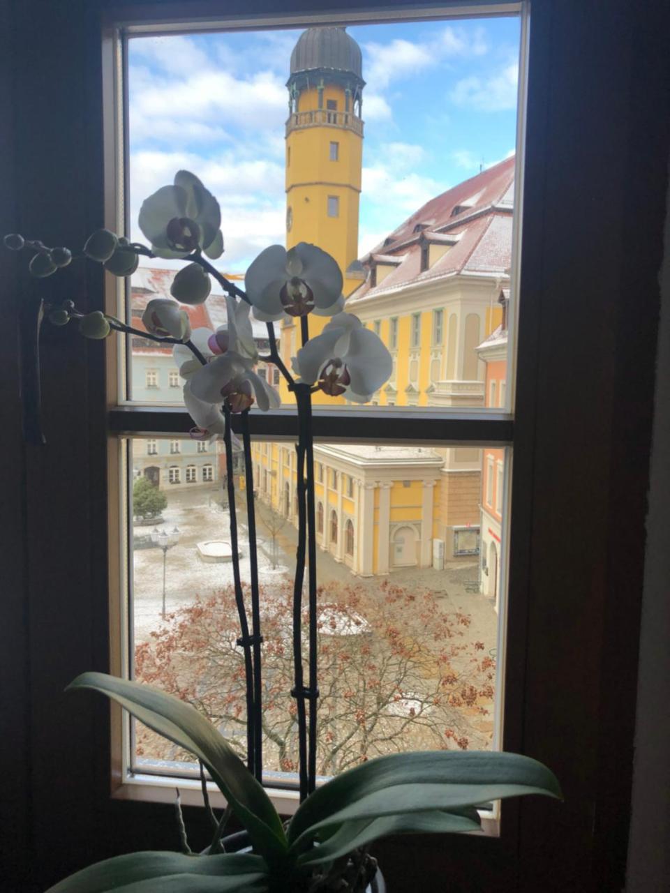 Zum Handtuch Bautzen Exterior photo